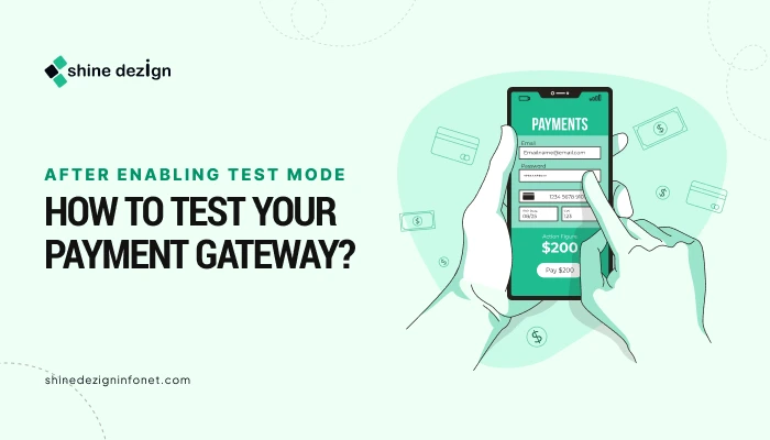 After Enabling Test Mode, How to Test your Payment Gateway?