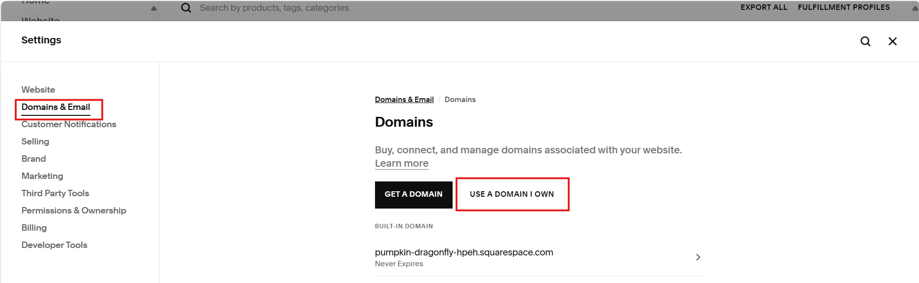 Transfer Domain In Squarespace Step 1 | Integrate Shopify with Squarespace