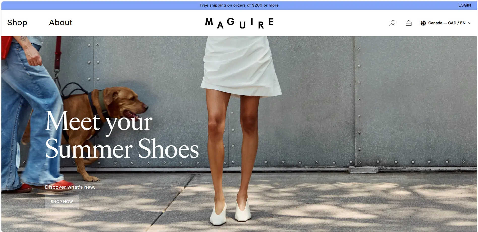 Maguire Shoes